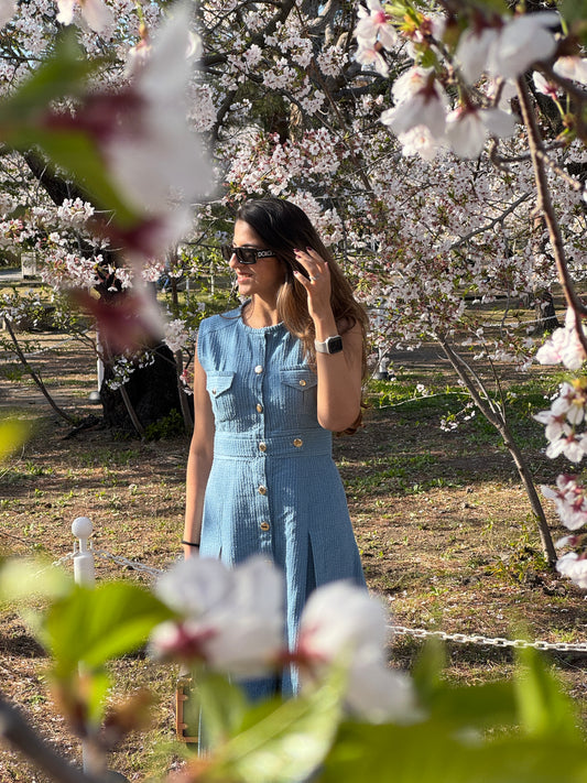 Seoul Denim Dress